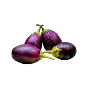 BRINJAL COMBO KIT 1 ACRE