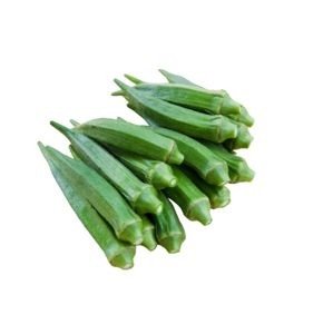 BHINDI COMBO KIT 1 ACRE