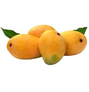MANGO COMBO KIT 1 ACRE