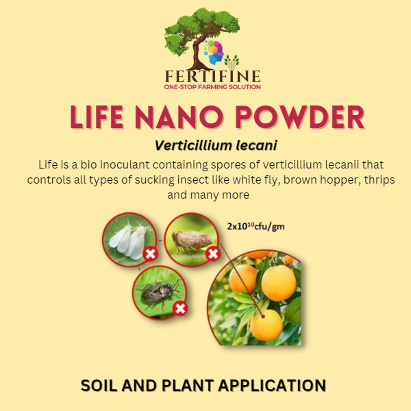 LIFE NANO POWDER