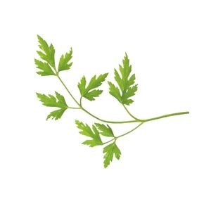 PARSLAY COMBO KIT 1 ACRE