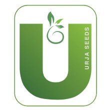 URJA Seeds