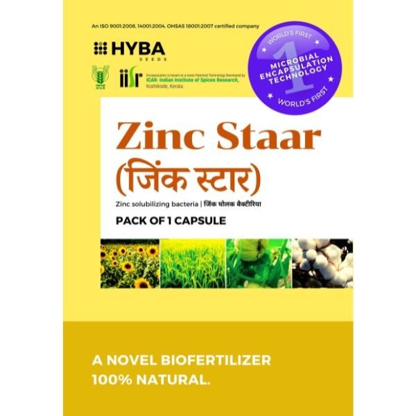 Zinc Staar Caps (BIO-ZINC)